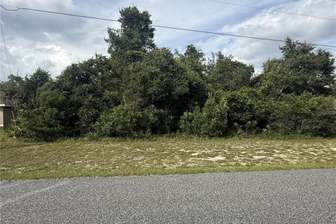 Terrain à Ocala, Floride № 2165871