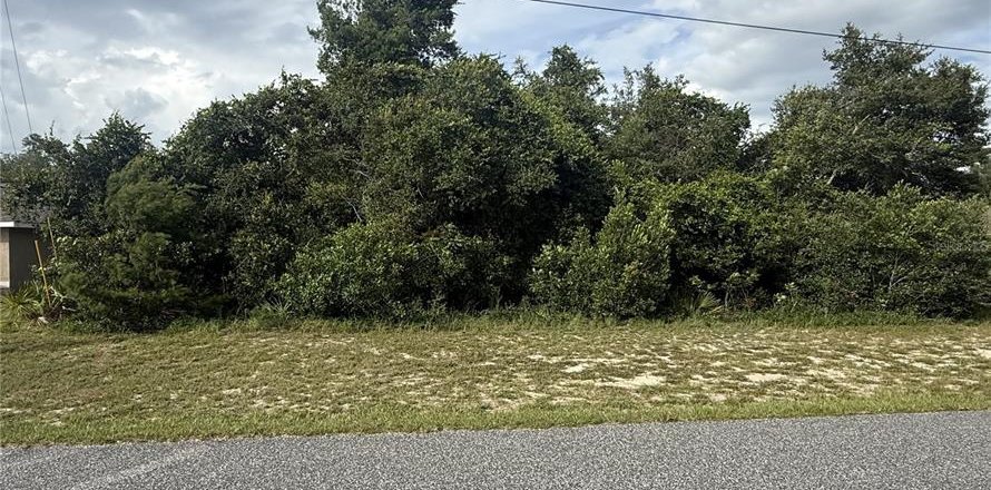 Terrain à Ocala, Floride № 2165871