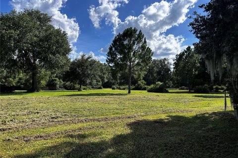 Land in Umatilla, Florida № 1835970 - photo 15