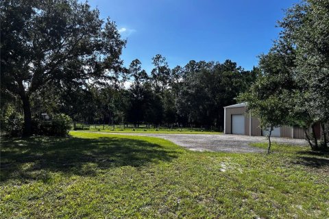 Terreno en venta en Umatilla, Florida № 1835970 - foto 4