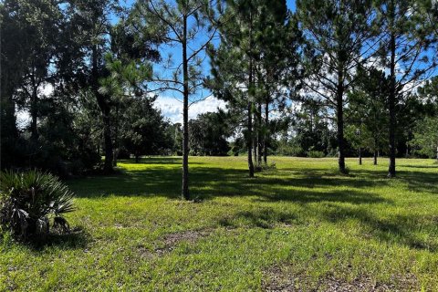 Terreno en venta en Umatilla, Florida № 1835970 - foto 18