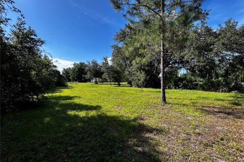 Terreno en venta en Umatilla, Florida № 1835970 - foto 19