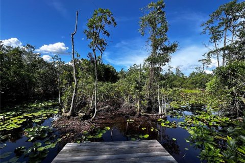 Terreno en venta en Umatilla, Florida № 1835970 - foto 8