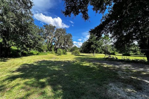 Terreno en venta en Umatilla, Florida № 1835970 - foto 12