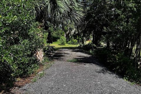 Land in Umatilla, Florida № 1835970 - photo 21