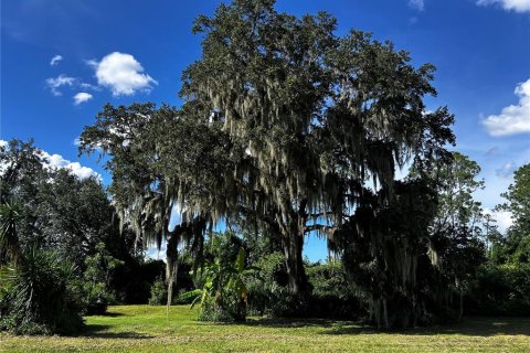 Terreno en venta en Umatilla, Florida № 1835970 - foto 24