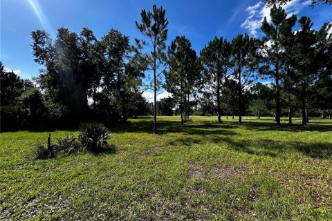 Terreno en venta en Umatilla, Florida № 1835970 - foto 17
