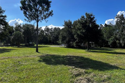 Terreno en venta en Umatilla, Florida № 1835970 - foto 20