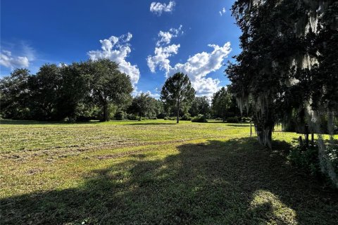 Terreno en venta en Umatilla, Florida № 1835970 - foto 14