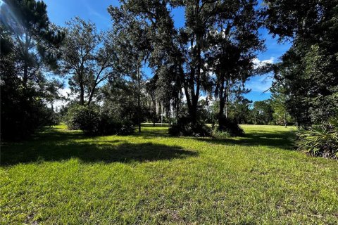 Terrain à vendre à Umatilla, Floride № 1835970 - photo 26