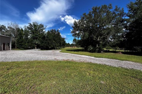 Terreno en venta en Umatilla, Florida № 1835970 - foto 11