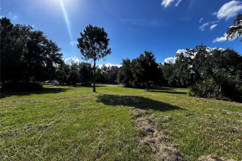 Terreno en venta en Umatilla, Florida № 1835970 - foto 3