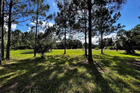 Terreno en venta en Umatilla, Florida № 1835970 - foto 16