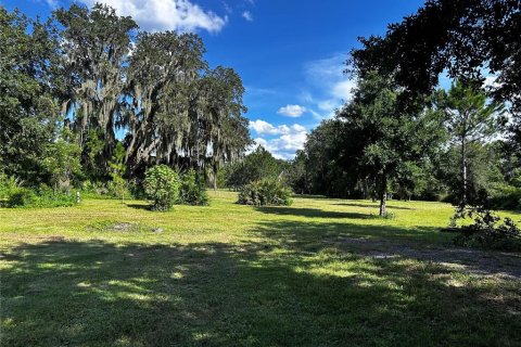 Land in Umatilla, Florida № 1835970 - photo 13