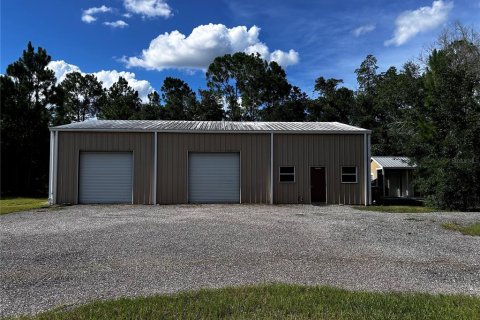 Terreno en venta en Umatilla, Florida № 1835970 - foto 5