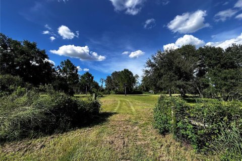 Terreno en venta en Umatilla, Florida № 1835970 - foto 2