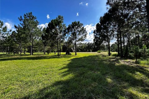 Terreno en venta en Umatilla, Florida № 1835970 - foto 25