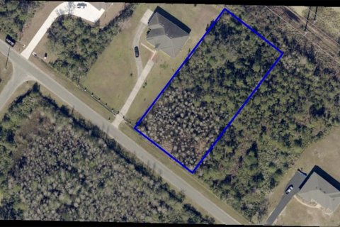 Land in Orlando, Florida № 1410028 - photo 1