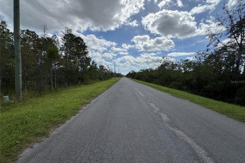Land in Orlando, Florida № 1410028 - photo 5