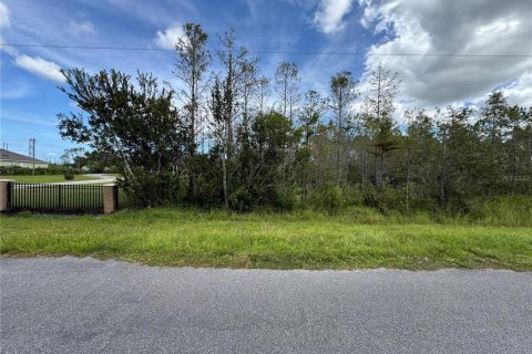 Land in Orlando, Florida № 1410028 - photo 3