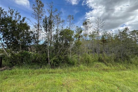 Land in Orlando, Florida № 1410028 - photo 2