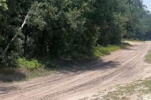 Land in Dunnellon, Florida № 2160140 - photo 2