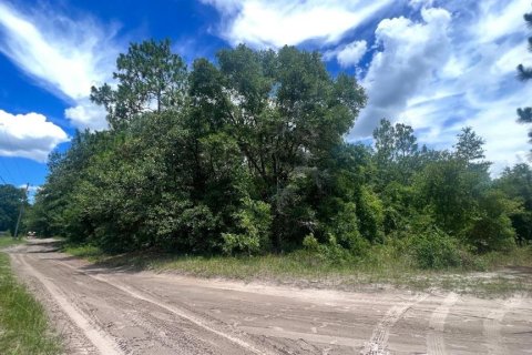 Land in Dunnellon, Florida № 2160140