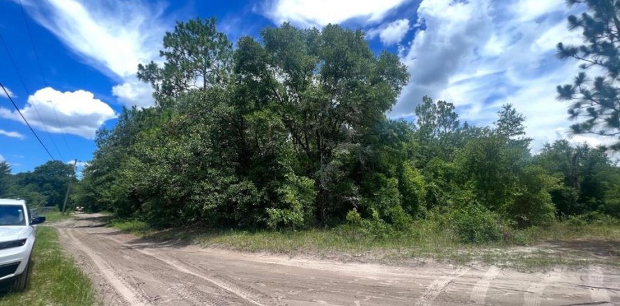 Land in Dunnellon, Florida № 2160140