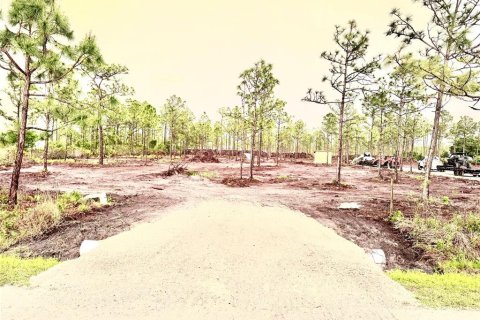 Terrain à Punta Gorda, Floride № 2400105