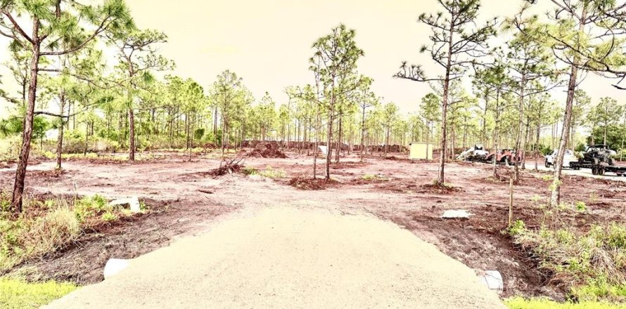Terrain à Punta Gorda, Floride № 2400105