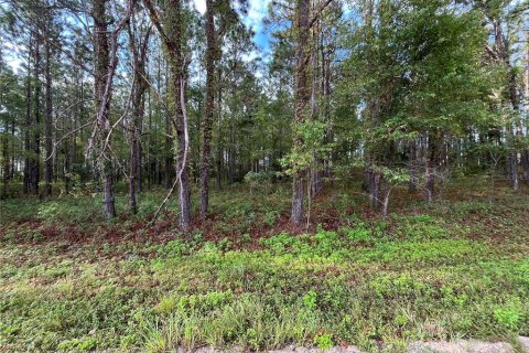 Terrain à vendre à Morriston, Floride № 1904489 - photo 8