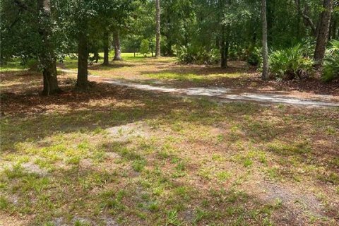 Villa ou maison à louer à Citra, Floride: 3 chambres, 138.24 m2 № 2280513 - photo 9