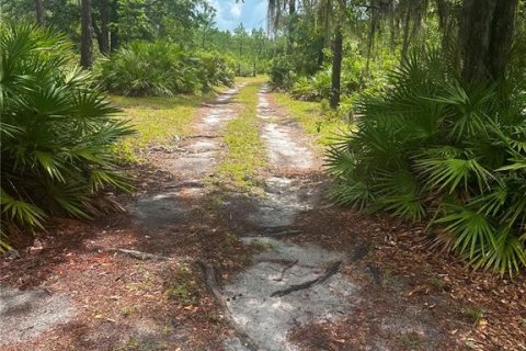 Villa ou maison à louer à Citra, Floride: 3 chambres, 138.24 m2 № 2280513 - photo 8