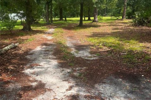 Villa ou maison à louer à Citra, Floride: 3 chambres, 138.24 m2 № 2280513 - photo 7