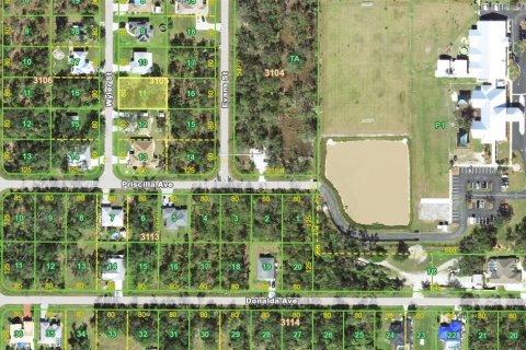 Land in Port Charlotte, Florida № 2165253 - photo 3