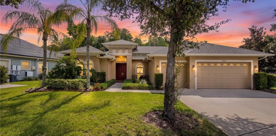 House in Odessa, Florida 4 bedrooms, 274.25 sq.m. № 2157781