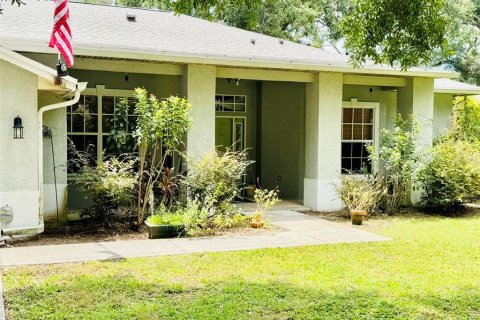 House in Thonotosassa, Florida 4 bedrooms, 232.35 sq.m. № 1856239 - photo 8