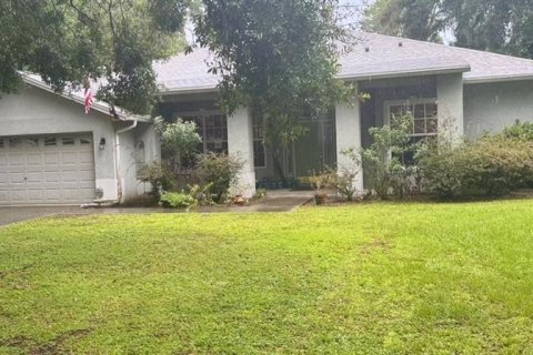 House in Thonotosassa, Florida 4 bedrooms, 232.35 sq.m. № 1856239 - photo 1