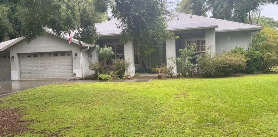 House in Thonotosassa, Florida 4 bedrooms, 232.35 sq.m. № 1856239