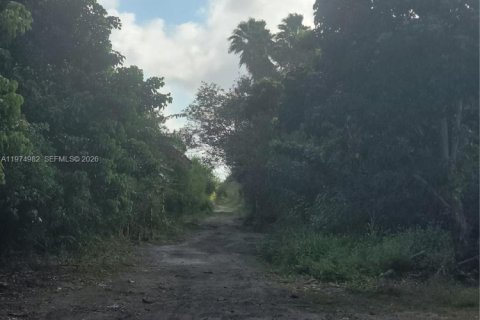Terrain à vendre à Homestead, Floride № 2040173 - photo 4