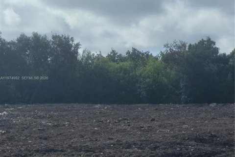 Terrain à vendre à Homestead, Floride № 2040173 - photo 3