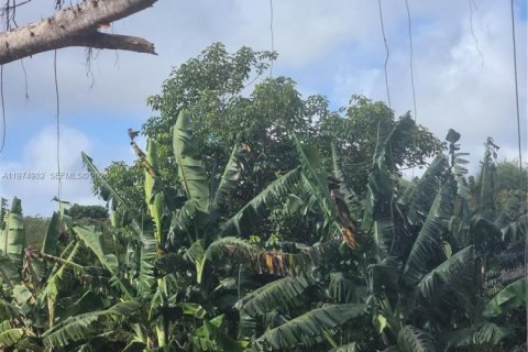 Terrain à vendre à Homestead, Floride № 2040173 - photo 15
