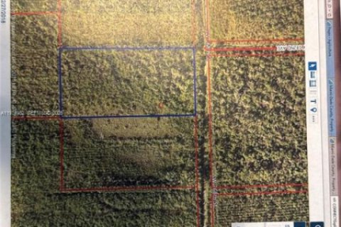 Terrain à vendre à Homestead, Floride № 2040173 - photo 13