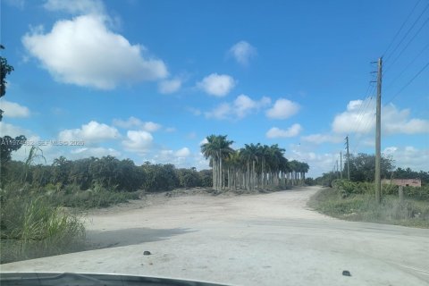 Terrain à vendre à Homestead, Floride № 2040173 - photo 21