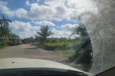 Terrain à vendre à Homestead, Floride № 2040173 - photo 11