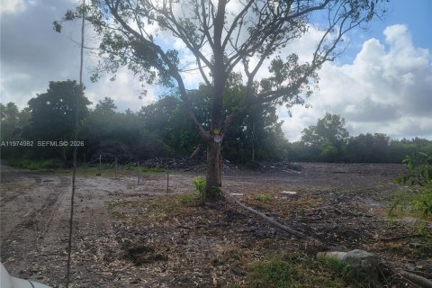Terrain à vendre à Homestead, Floride № 2040173 - photo 9
