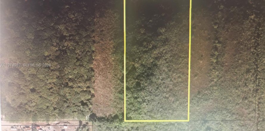 Terrain à Homestead, Floride № 2040173