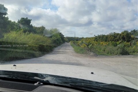 Terrain à vendre à Homestead, Floride № 2040173 - photo 2