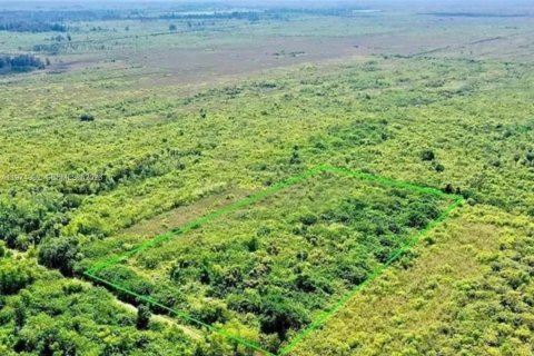 Terrain à vendre à Homestead, Floride № 2040173 - photo 12