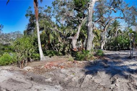 Land in Sarasota, Florida № 2103945 - photo 11